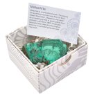 Malachite Rough in Gift Box