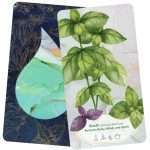 ESSENTIAL OILS HEALING DECK