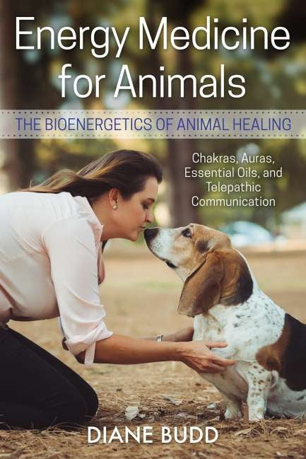 ENERGY MEDICINE FOR ANIMALS