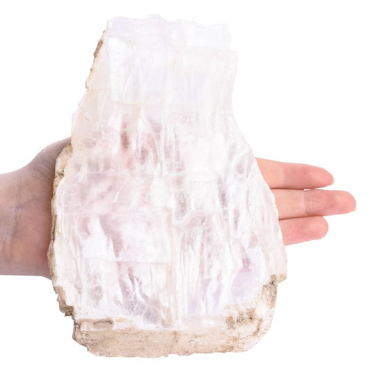 Selenite Fish Tail, unsized