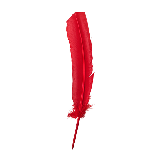 Turkey Feather, 10-12 inch, Single: Red