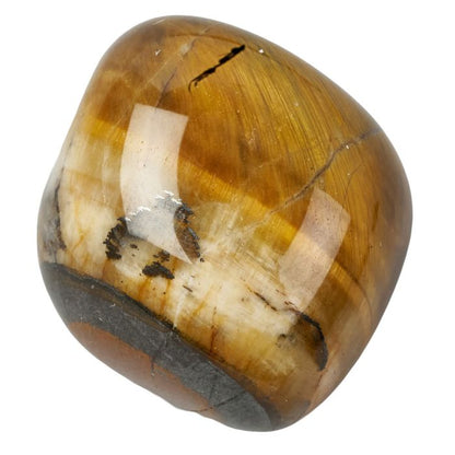 Birth Stone Small Tumblestone Tigers Eye