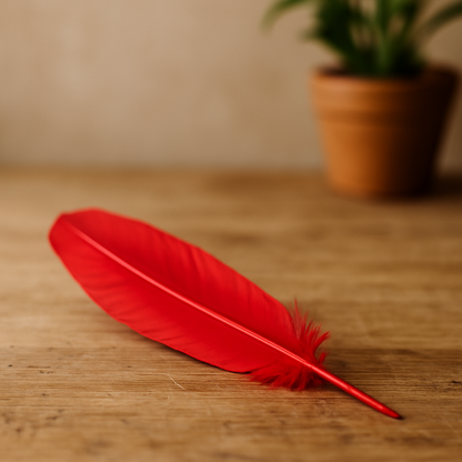 Turkey Feather, 10-12 inch, Single: White