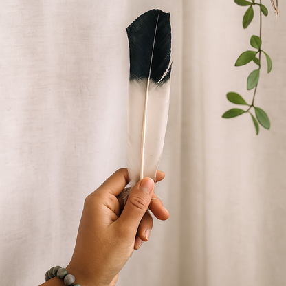 Turkey Feather, 10-12 inch, Single: Green