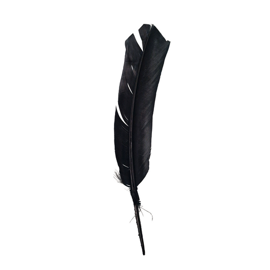 Turkey Feather, 10-12 inch, Single: Black