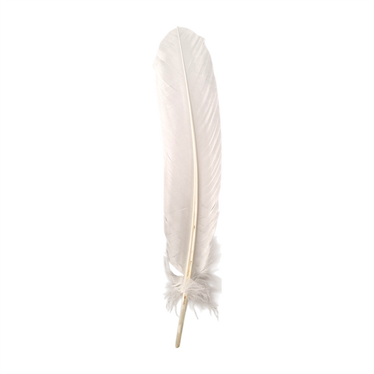 Turkey Feather, 10-12 inch, Single: White