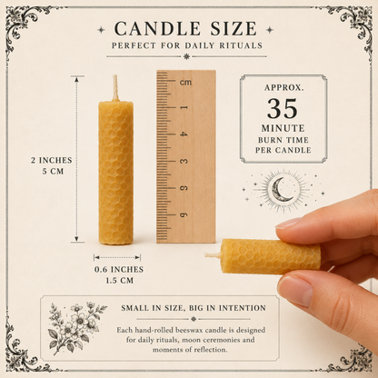 Moon Phase Discovery Set — 28 Mini Beeswax Ritual Candles