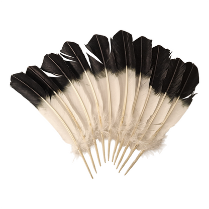 Turkey Feather, 10-12 inch, Single: Green