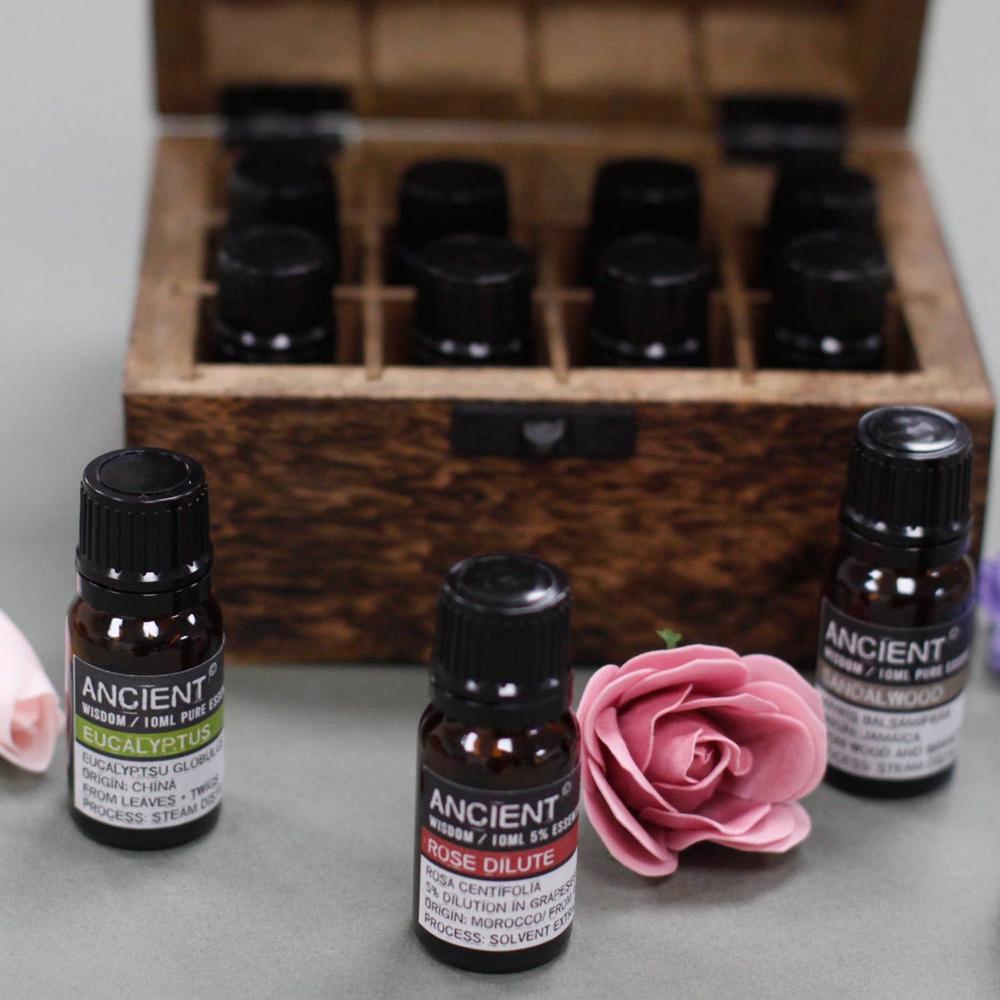 Boxed Aromatherapy Set TOP 6