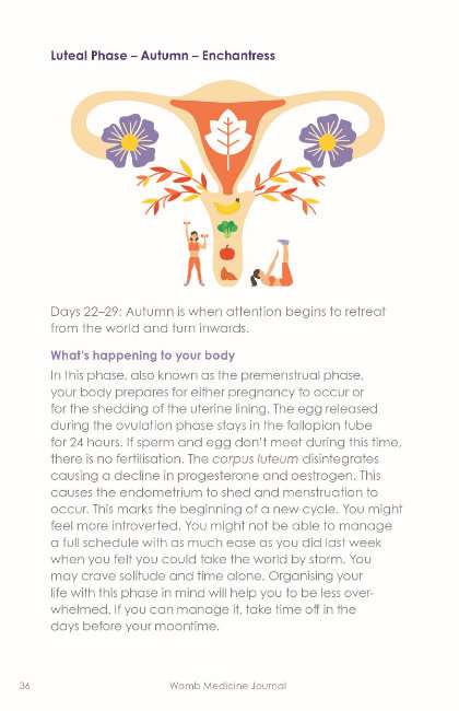 WOMB MEDICINE JOURNAL