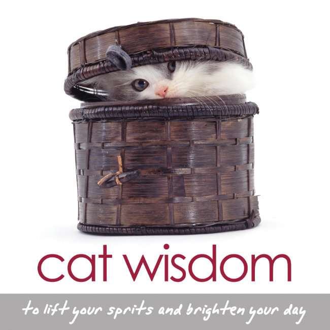 CAT WISDOM by Tanya Graham