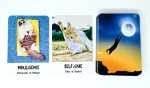 COSMIC CAT WISDOM CARDS