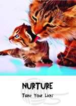 COSMIC CAT WISDOM CARDS
