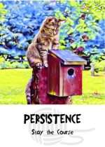 COSMIC CAT WISDOM CARDS