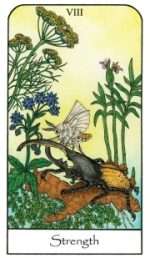 NATURE SPIRIT TAROT