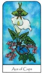 NATURE SPIRIT TAROT