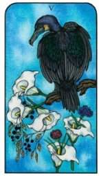 NATURE SPIRIT TAROT