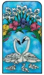 NATURE SPIRIT TAROT