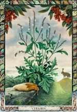 DRUID PLANT ORACLE