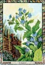 DRUID PLANT ORACLE