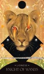SYMBOLIC TAROT