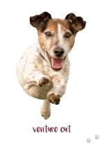 DOG WISDOM CARDS New Edition by Tanya Graham