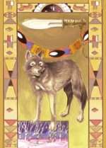 NATIVE AMERICAN SPIRITUALITY ORACLE CARDS OR13 RRP œ17.99 inc VAT