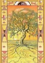 NATIVE AMERICAN SPIRITUALITY ORACLE CARDS OR13 RRP œ17.99 inc VAT