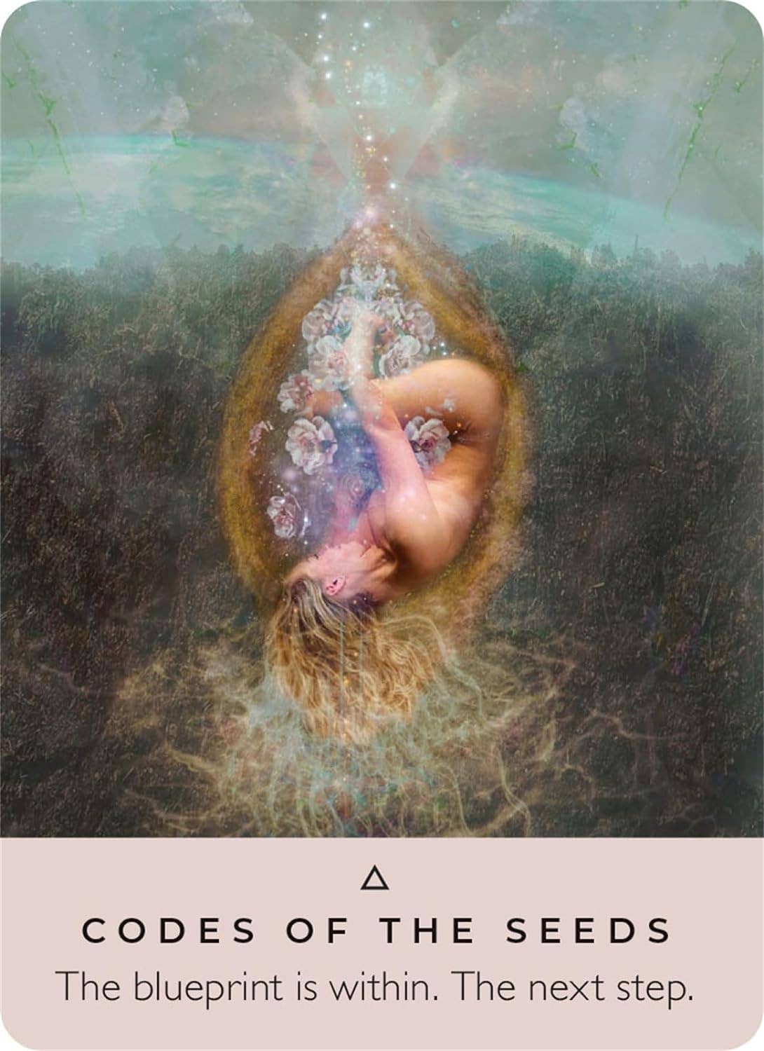 The Rose Pocket Oracle Cards Hay House