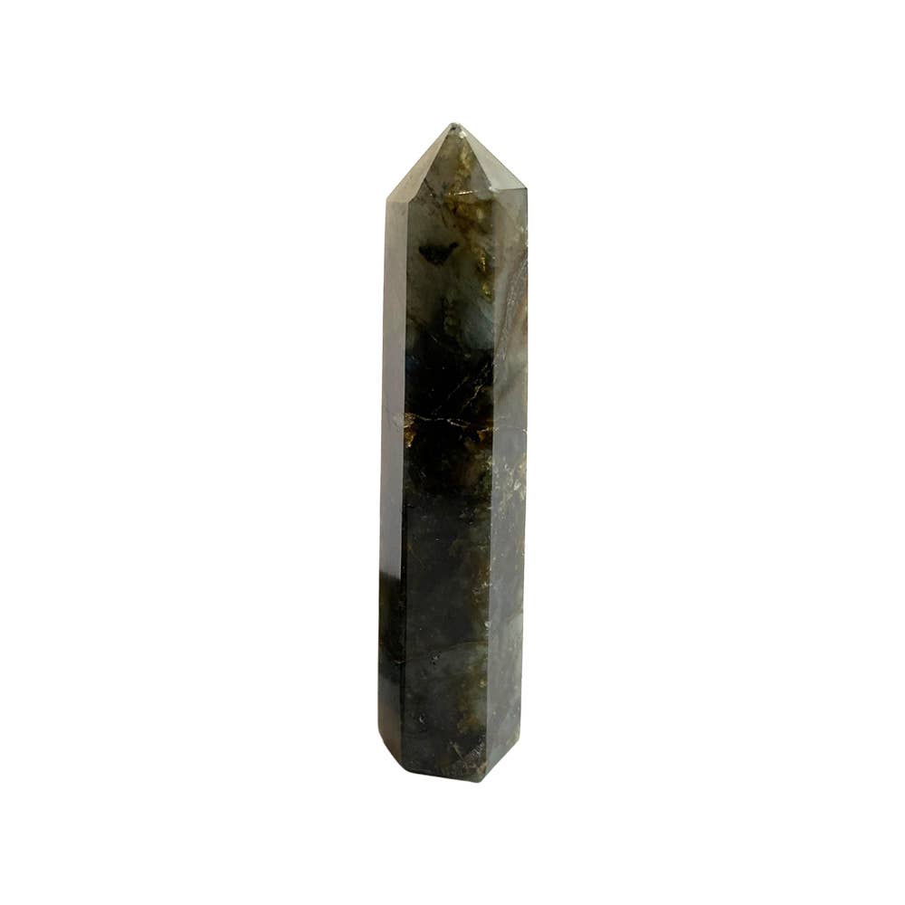 Obelisk Tower, 8-10cm: Black Tourmaline