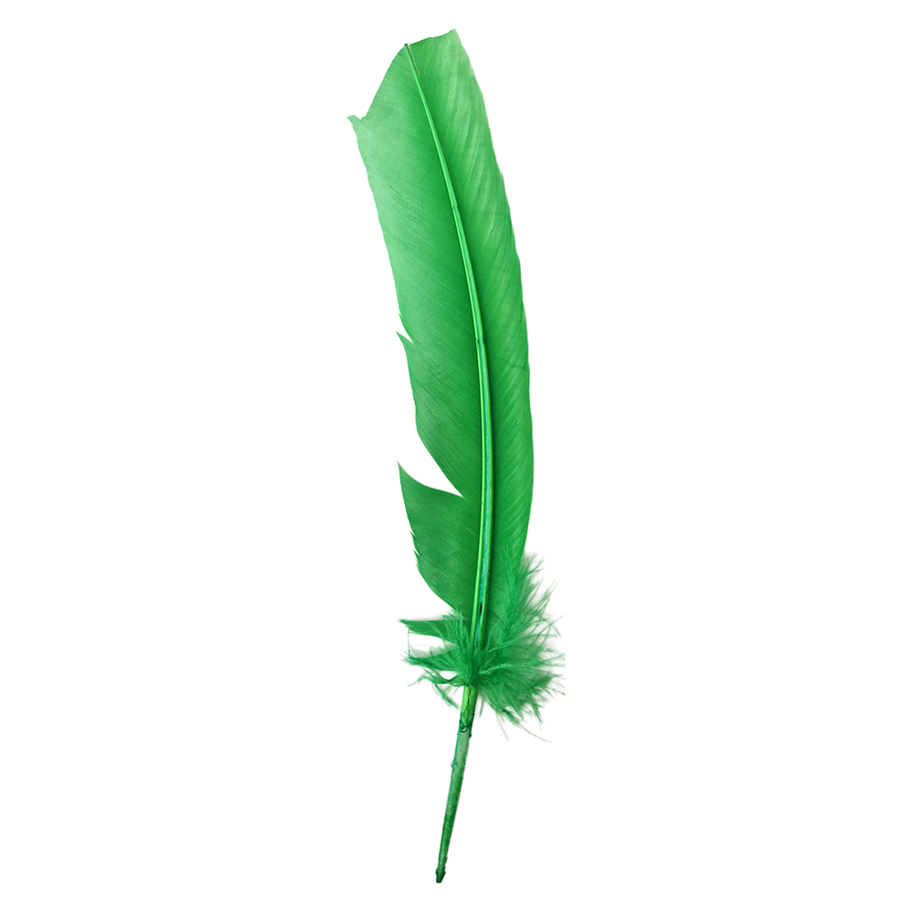 Turkey Feather, 10-12 inch, Single: Red