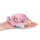 Pink Dog Lead Chakra Stones