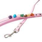 Pink Dog Lead Chakra Stones